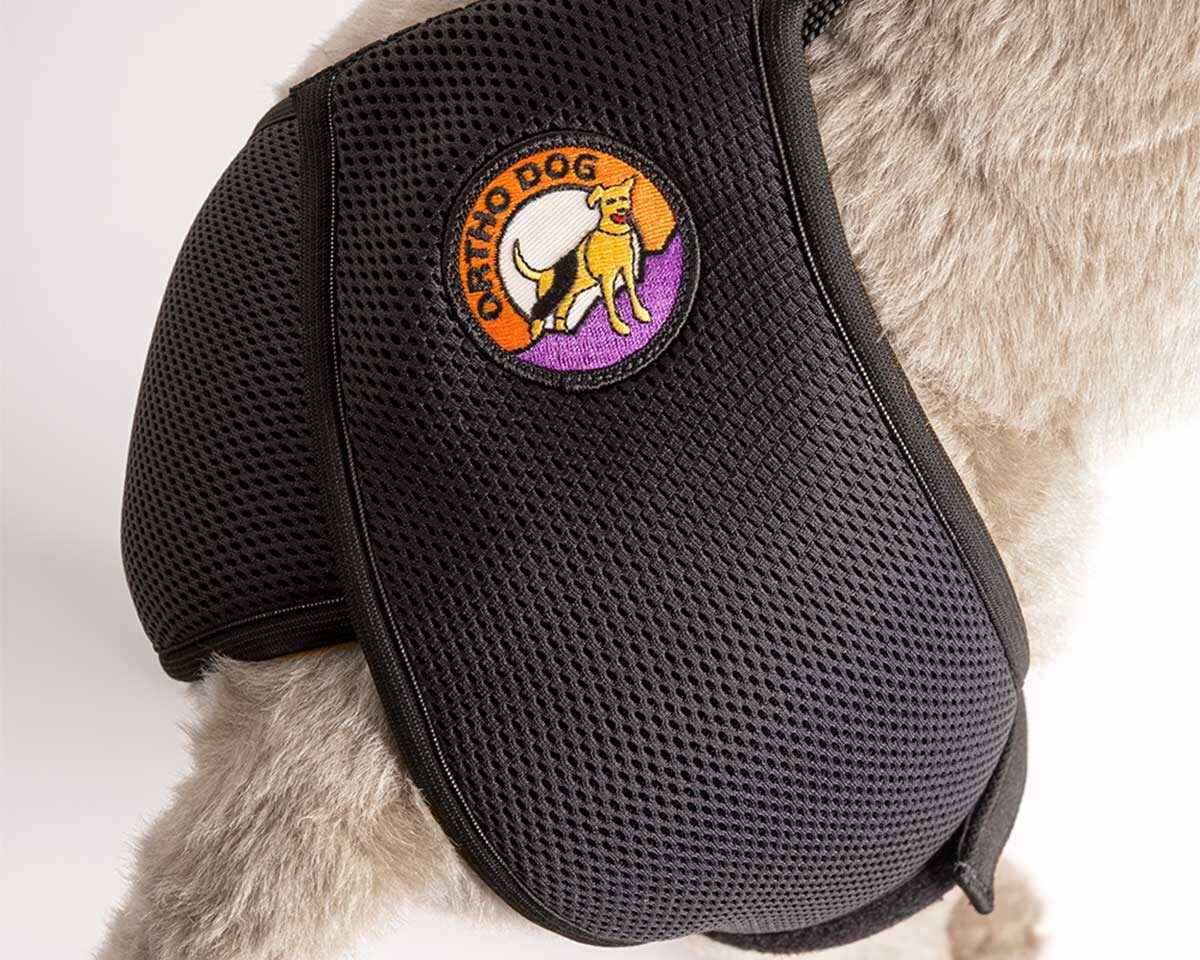 Hip Hound Brace - Ortho Dog