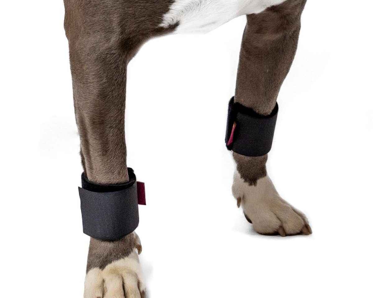 Wrist Wrap