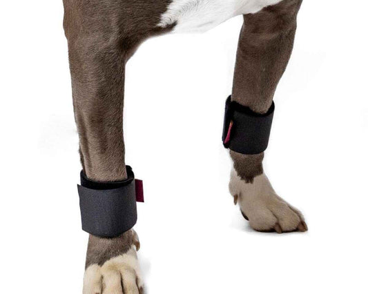 Wrist Wrap