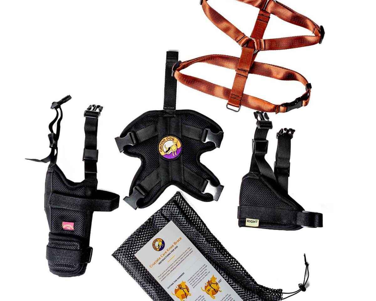 Cruciate Care Dog Knee Brace - Ortho Dog