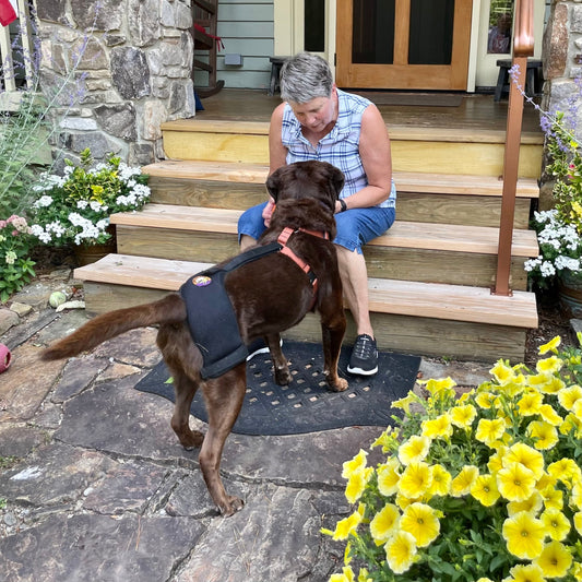 Video: About the Hip Hound Brace