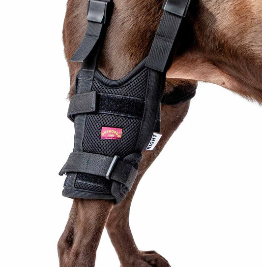 Need Help Fitting your Brace?
