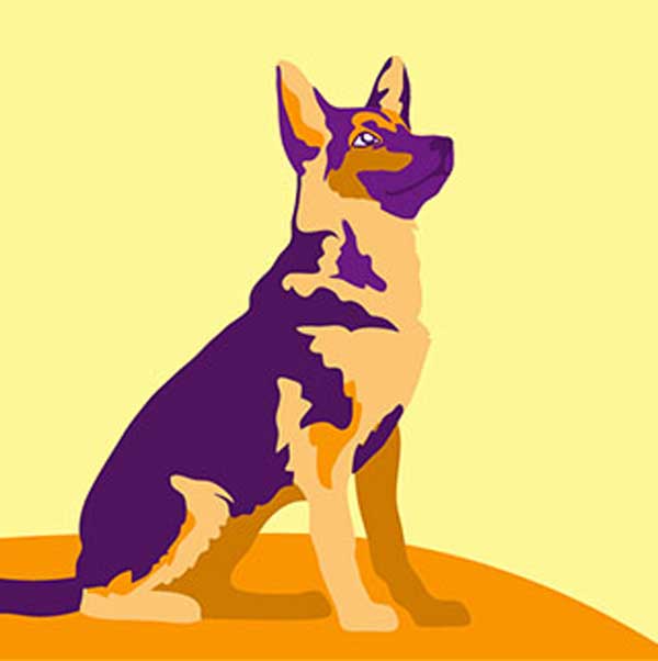 German Shepherd Hip Dysplasia Signs and Treatments