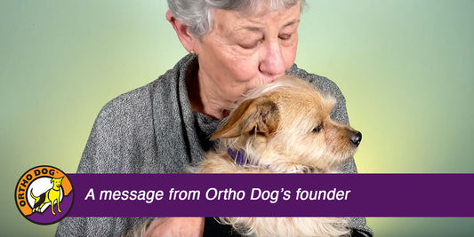 A Few Words from the Ortho Dog Founder
