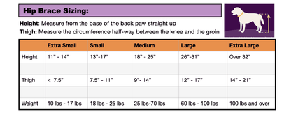 Hip Hound Brace sizing chart — brace size by dog height, thigh circumference, and weight