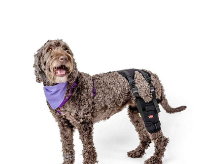 Cruciate Care Knee Brace