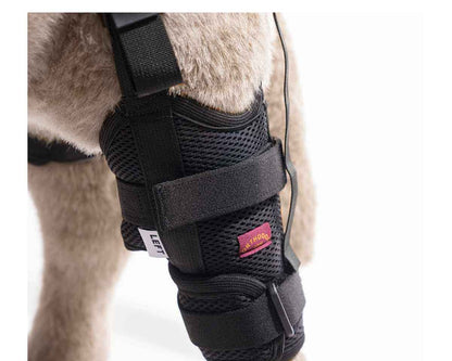 Cruciate Care Knee Brace - Leg Portion Only