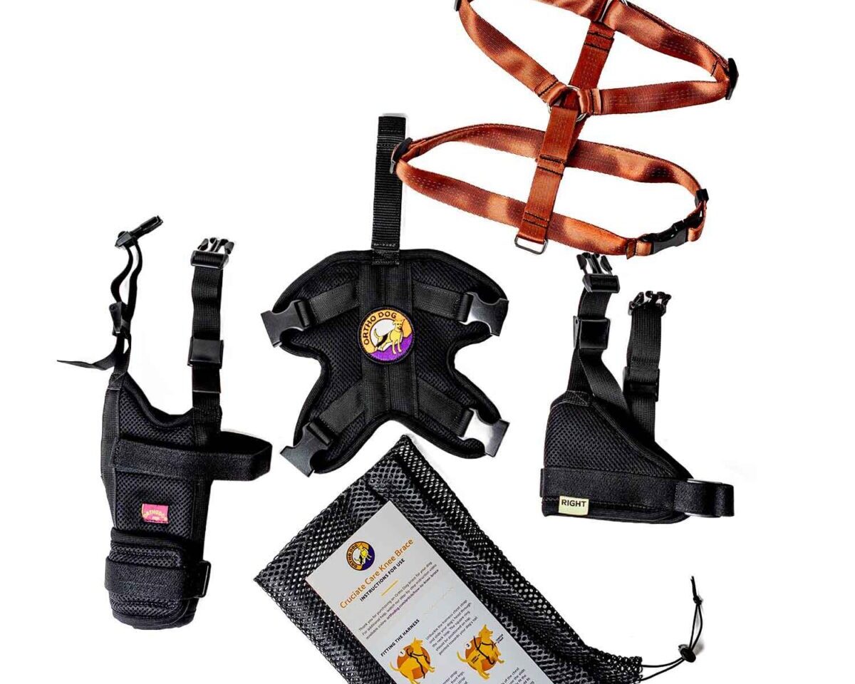 Cruciate Care Knee Brace